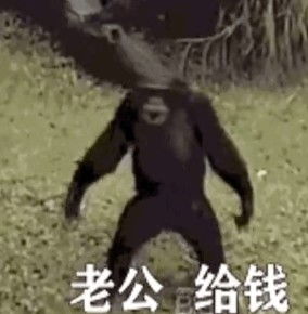  老公给钱表情包猴子动图