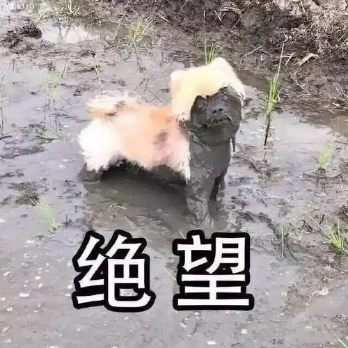  比进传销组织还恐怖的招聘被骗到东南亚的程序员到底有多惨
