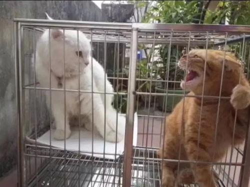  我的收藏