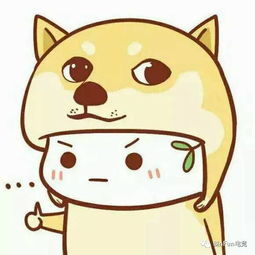  lol搞笑主播排行榜第一名竟然不是pdd
