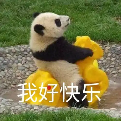 又说那话了表情包狗熊
