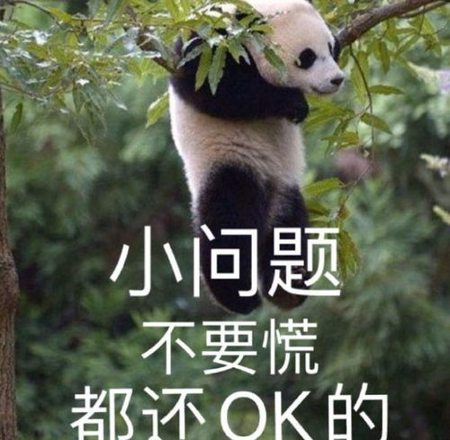 问题不大表情