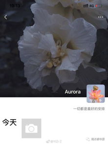  爸妈的微信头像,看完果然一言难尽