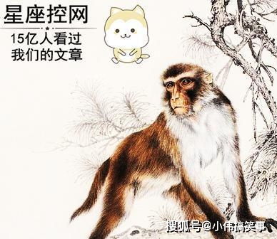 微信2021头像女属马