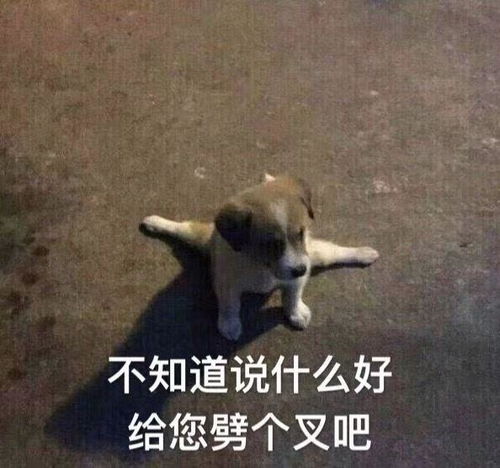  西北政法的民商法的学硕研究生备考指南