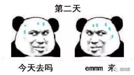  那些停止训练的健美肌肉男,现在都怎么样了