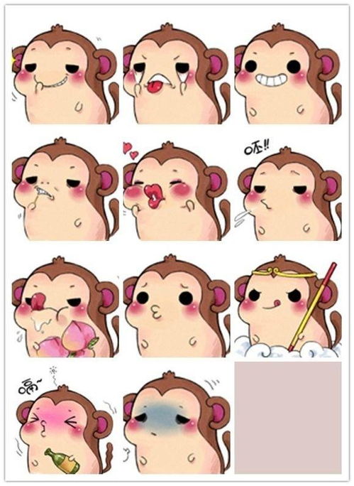  这个兔子叫什么想要一套表情包