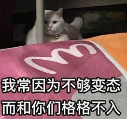  淮南一男子为寻找刺激,竟爱上偷看女邻居们洗澡