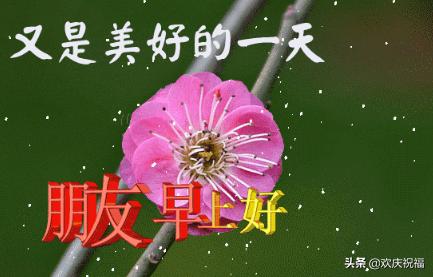  寒冬腊月早晨祝福语动态图片微信最温馨的早安图片表情大全
