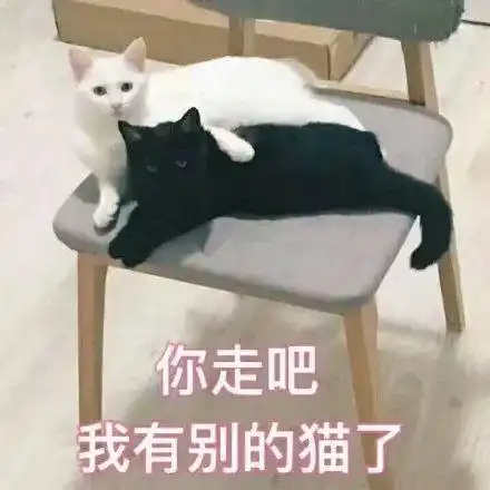  沙雕表情包我心爱的狗东西在吗