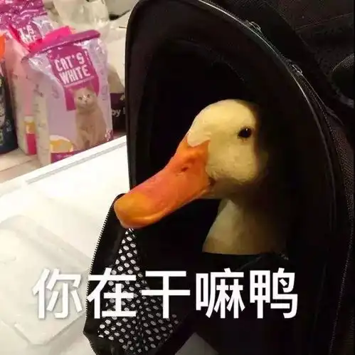  于正这丫头是找高人打通任督二脉了吗审美如此突飞猛进