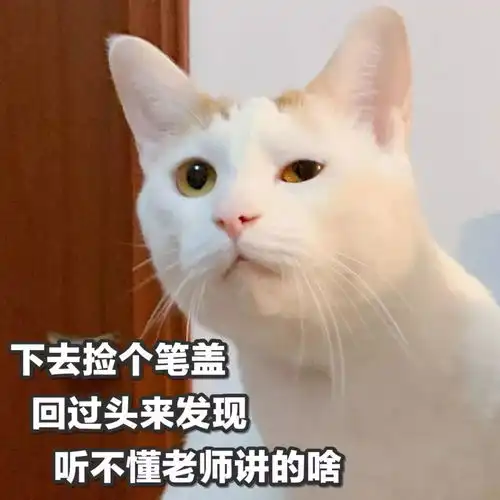  猫咪表情包合集两眼一闭,当你放屁养猫