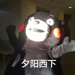  表情包丨我期待的夏天是这样的