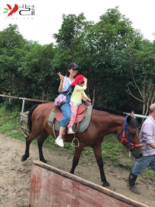  艺夏之行,韵味自然艺之韵暑假莫干山夏令营圆满结束搜狐旅游搜狐网