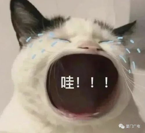  注意阵雨降温即将抵达厦门未来天气......