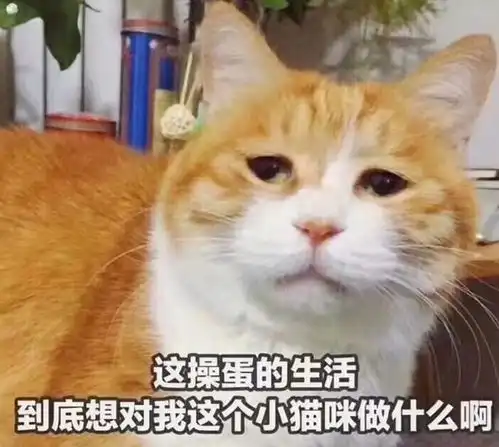  那些年你为什么被区块链蒙骗