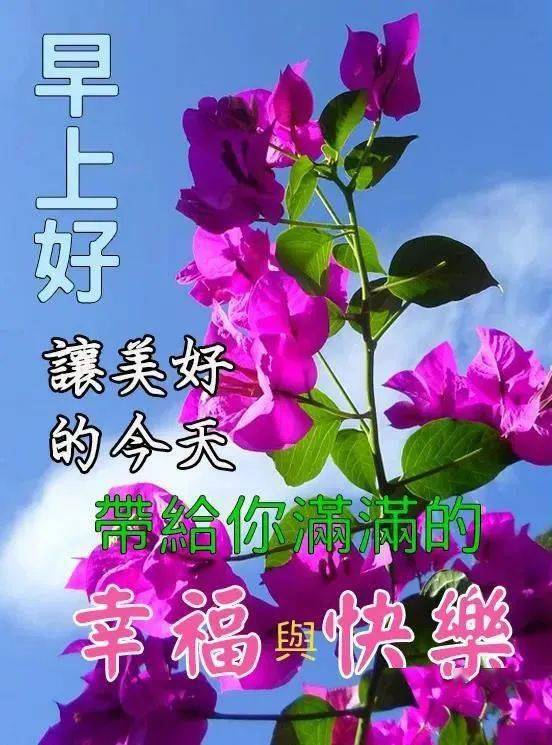  2021最新精致的大家早上好漂亮的表情包,2021免打字聊天清晨早安问候图片祝福语录