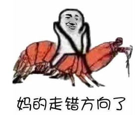  皮皮虾我们走表情包合集皮皮虾最新表情包高清无水印