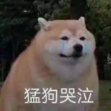  轻松一刻这一家的复杂关系,摇摇车都摇不明白