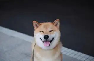  柴犬表情包北登去世谢谢你带给我们的欢乐