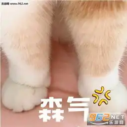  外面太冷了让我进你的被窝表情包好冷啊,我也想进被窝睡觉觉猫咪表情包下载乐游网游戏下载