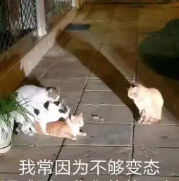 嘴巴嘟嘟表情包你说