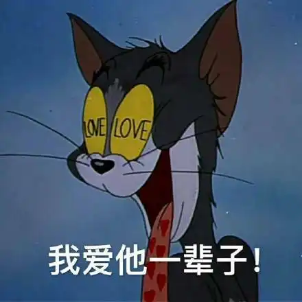  不如吸猫,谈恋爱不如吸猫