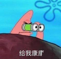  清明小长假这么过,才不负这最美西塘四月天