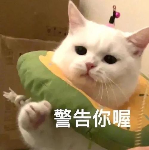  提醒梅州交警又出大招这份承诺书,写了你就难忘了
