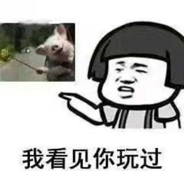  你玩过这个么我见你玩过