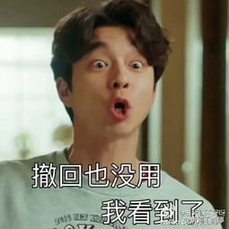  2017孔刘春节图片表情包