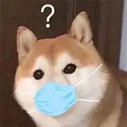  猫猫狗狗表情包