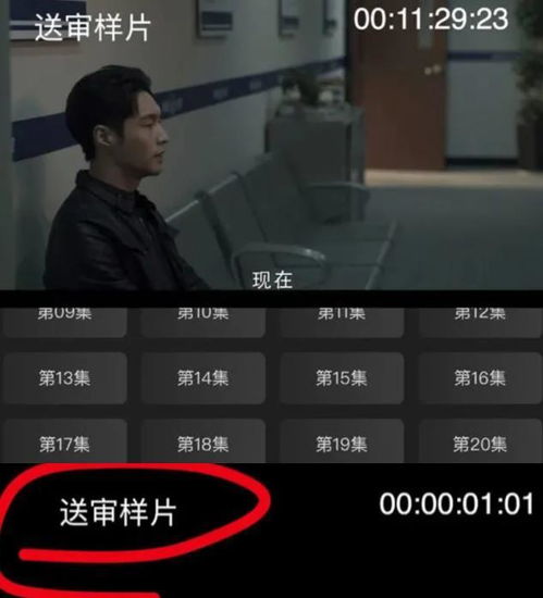  腾讯刚索赔天价,扫黑风暴就全集泄露,片源打着送审样片