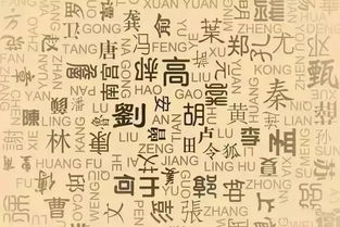  原创新语你的姓氏,你的故事
