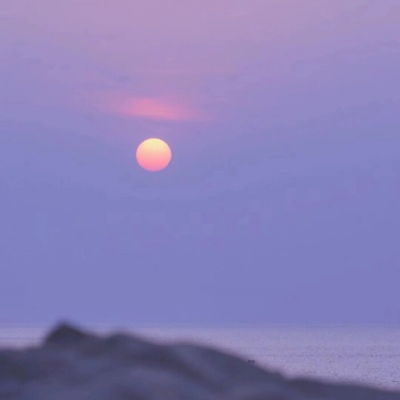  林知意紫色背景治愈给生活添加风景静物头像我要个性网