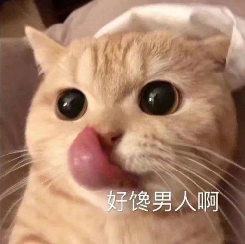  斗图表情包怎么不找我了是不是小宝贝太多忘了我
