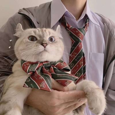  猫咪情侣头像一对两张猫系列情侣头像一左一右