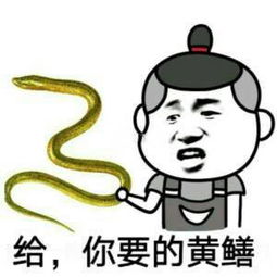  皮皮鳝我们走表情包