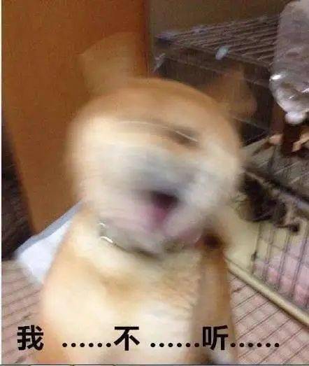  外国人学中文崩溃的时候发什么表情包
