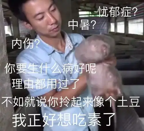 华农兄弟表情包中暑驯化