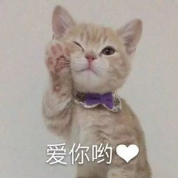  跑完彩色跑竟然吃饱了这些深大人的狗粮太甜