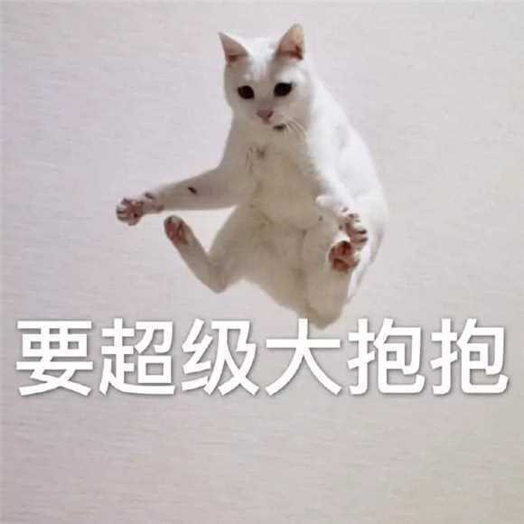  女生发朋友圈能可爱到什么程度