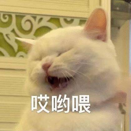  阴阳怪气表情包就这就这