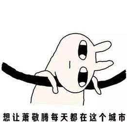  我这条命是空调给的