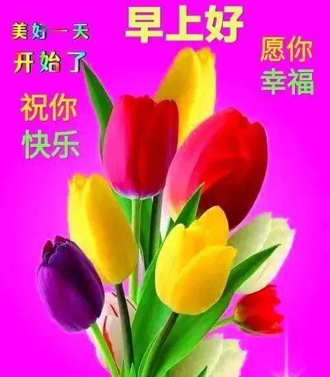  2021鲜花早上好表情包带字精选,暖心的问候表情图片鲜花带字