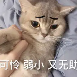  萌宠流泪表情包找对象这个是,抓阄也该轮到我了