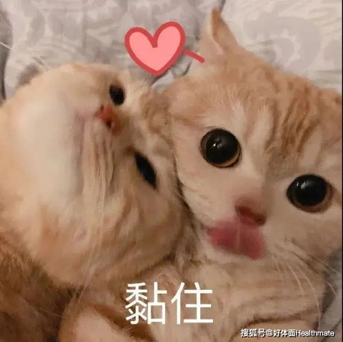  今年冬天,让脸皮厚起来