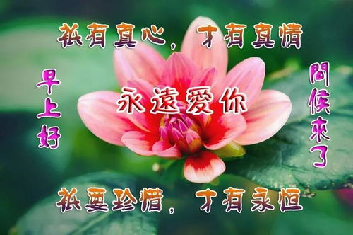  生活,没有什么大道理可言,过的就是一种心情,早上好人生