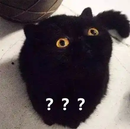  百科猫有九条命摔不死这10个关于猫的谣言,你相信过几个
