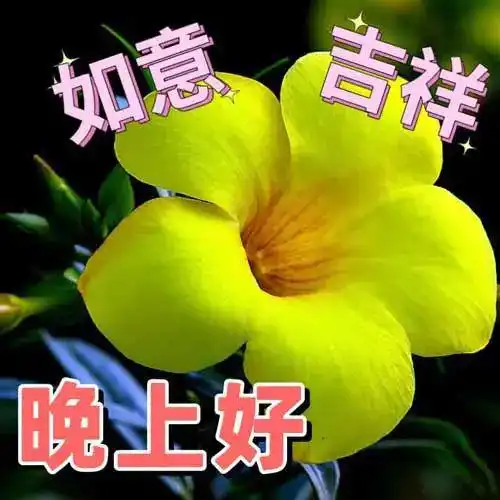  晚上好图片大全,晚上好祝福图片,晚安表情包,祝君好梦